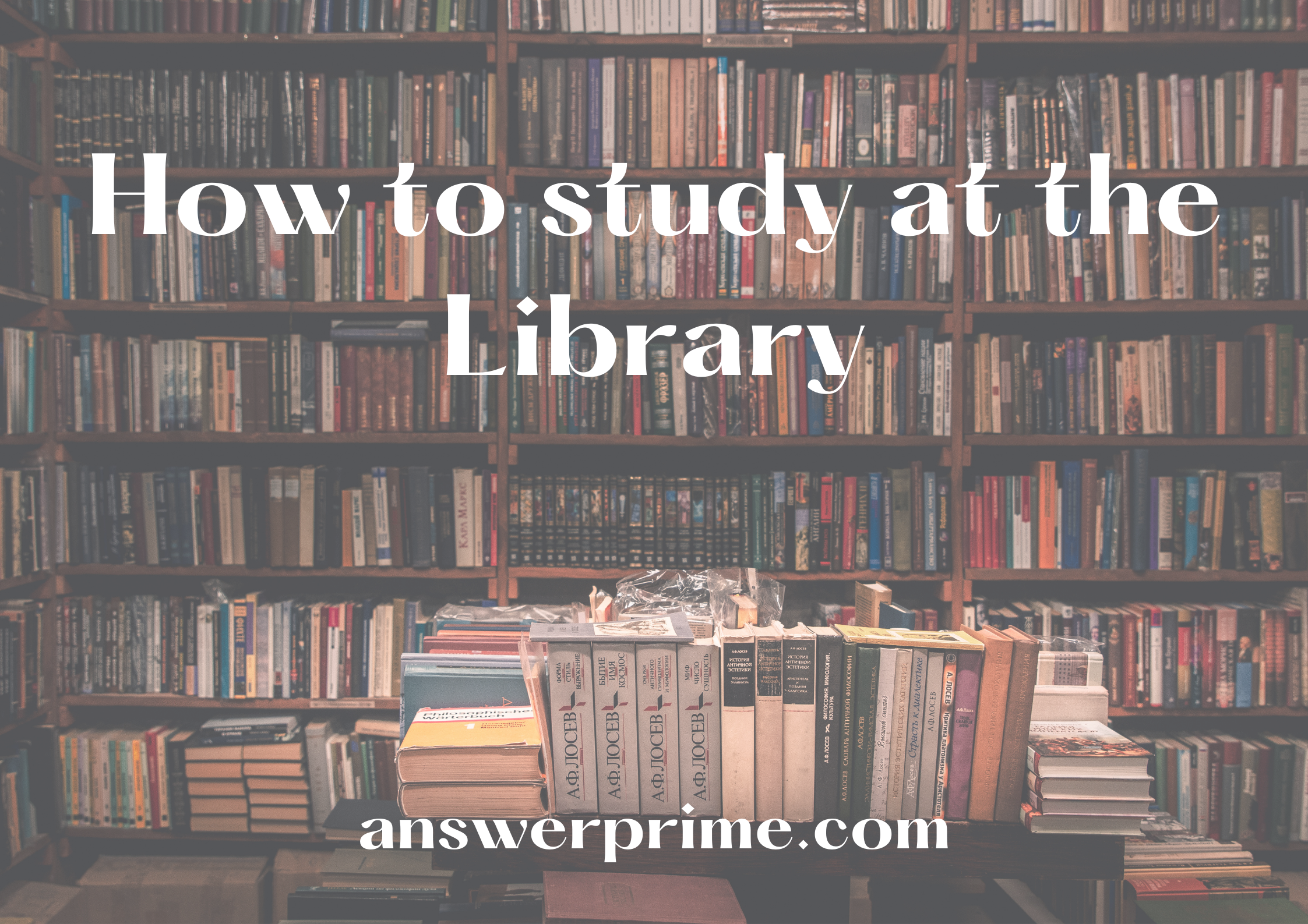 How to study at the Library