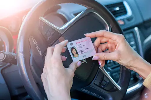 Driver's license background check