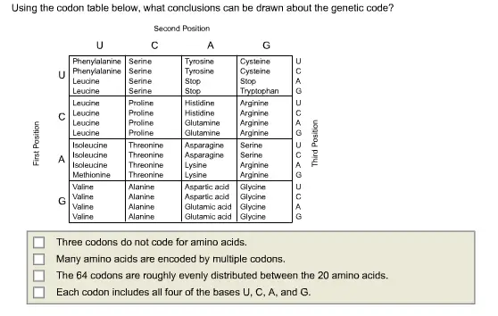 Using the codon table below, what conclusions can be drawn about
the genetic code?

Using the codon table below, what conclusions can be drawn about the genetic code?  Three codons do not code for amino acids.  Many amino acids are encoded by multiple codons.  The 64 codons are roughly evenly distributed between the 20 amino acids.  Each codon includes all four of the bases U, C, A. and G.
