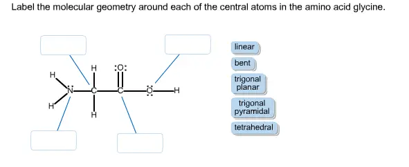 Label the molecular geometry around each of the central atoms in the amino acid glycine.