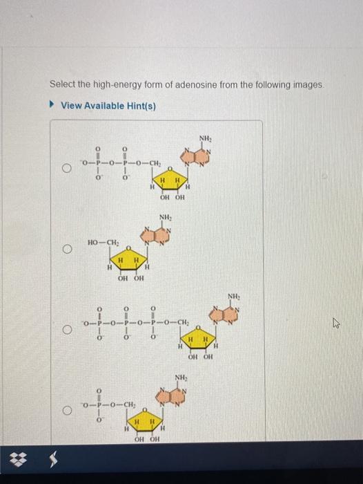 Select the high-energy form of adenosine from the following images View Available Hint(s) NH: -CHE o H H OH OH NH: HO-CH: a HH H H OH OH NH OCH 212 O H HE OH OH NH CH; 0 0 OH OH 
нун ом он NH но-с: О H H H H OH OH NH; -СН. О O о HH Н OH OH NH: С. О 0 H OH OH » OH о 11 H Онон $