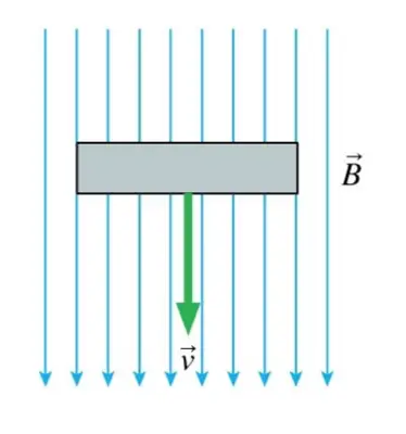 A metal bar moves through a magnetic field. The induced charges
on the bar are
?