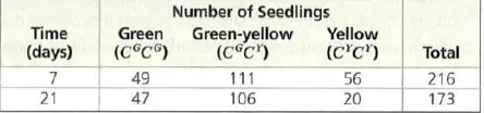 a. Use the observed genotype frequencies from the day 7 data to
calculate the frequencies of the CG allele (p) and CY allele (q).
(Remember that the frequency of an allele in a gene pool is the
number of copies of that allele divided by the total number of
copies of all alleles at that locus.
b. Next use Hardy Weinberg equation (p^2+2pg+q^2=1) to calculate
expected frequencies of genotypes CGCG, CGCY, CYCY for a population
in Hardy Weinberg equilibrium.
c. Calculate observed frequencies of genotypes CGCG, CGCY, CYCY
at day 7. (Observed frequency of a genotype in a gene pool is the
number of individuals with that genotype divided by total number of
individuals). Compare these frequencies to the expected frequencies
calculated in step 2. Is the seedling population in Hardy Weinberg
equilibrium at day 7, or is evolution occurring? Explain reasoning
and identify which genotypes appear to be selected for or
against.
d. Calculate the observed frequencies of genotypes CGCG, CGCY,
and CYCY at day 21. Compare frequencies to expected frequencies
calculated in step b and observed frequencies at day 7. Is seedling
population in Hardy Weinberg equilibrium at day 21 or is evolution
occurring? Explain reasoning and identify which genotypes appear to
be selected for or against. 
e. Homozygous CYCY individuals cannot produce chlorophyll. The
ability to photosynthesize becomes more critical as seedlings age
and begin to exhaust the supply of food stored in seed from which
they emerged. Develop a hypothesis that explains data for days 7
and 21. Based on this hypothesis predict how frequencies of CG and
CY alleles will change beyond day 21.
Number of Seedlings Green Green-yellow Yellow Time (days) (C°C) (C C) 49 47 (CC Total 216 173 56 20 21 106