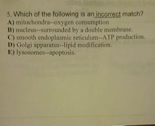 5. Which of the following is an incorrect match? A) mitochondra--oxygen consumption B) nucleus--surrounded by a double membrane. C) smooth endoplasmic reticulum--ATP production, D) Golgi apparatus--lipid modification. E) lysosomes--apoptosis. 
Using the figure above, answer the question 1-2. 1. Which of the following is not true regarding the plasma membrane! A) It is selective as to what enters and exits the cell. B) It is a liquid at body temperature. C) It has proteins embedded in it. D) It separates the nucleus from the cytoplasm. E) It is a phospholipid bilayer.