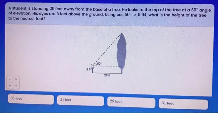 A student is standing 20 feet away from the base of a tree. He looks to the top of the tree at a 50° angle of elevation. His eyes are 5 feet above the ground. Using cos 50° 0.64, what is the height of the tree to the nearest foot? 350 36 feet 24 feet 29 feet 31 feet
