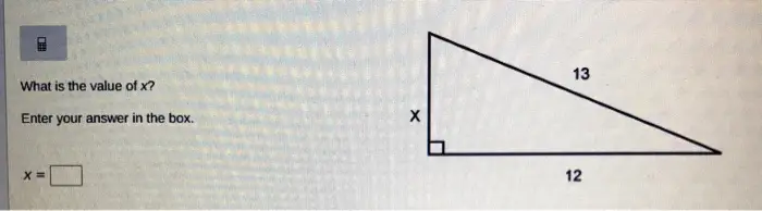 13 What is the value of x? Enter your answer in the box. 12