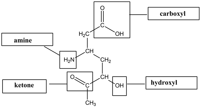 Label the highlighted functional groups in this molecule. ketone aldehyde ester hydroxyl group (alcohol) amino group (amine) carboxyl group (carboxylic acid)